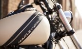   Harley-Davidson Fat Bob 2014 -  8