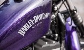   Harley-Davidson Sportster 2014 -  14
