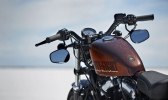   Harley-Davidson Sportster 2014 -  29
