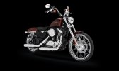   Harley-Davidson Sportster 2014 -  37