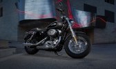   Harley-Davidson Sportster 2014 -  61