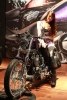  Harley-Davidson     -  3