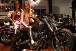  Harley-Davidson     -  4