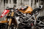  Radical Ducati Matador 2013 -  9