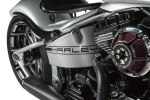  SS&C Drey   Harley-Davidson Softail Blackline -  13