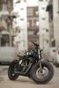  Harley-Davidson 883 -  3