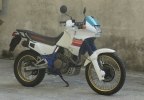 - Honda NX650 Dominator 1992 -  2