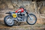 - Harley Davidson XL1200 -  1