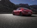 Porsche Cayman  Boxster    -  2