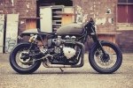   Triumph Thruxton -  1