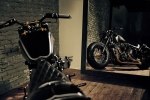  Rough Crafts Crowned Stallion   Harley-Davidson Softail Slim -  12