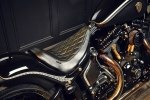  Rough Crafts Crowned Stallion   Harley-Davidson Softail Slim -  3