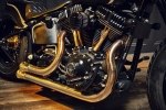  Rough Crafts Crowned Stallion   Harley-Davidson Softail Slim -  5