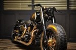  Rough Crafts Crowned Stallion   Harley-Davidson Softail Slim -  7