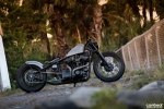  Harley-Davidson Sportster 883 -  2