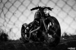  Harley-Davidson Sportster 883 -  20