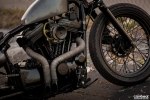  Harley-Davidson Sportster 883 -  3