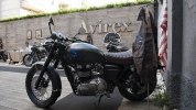 10  Triumph T100 Bonneville Avirex -  22