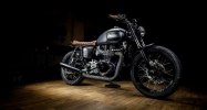  Triumph Bonneville T100 Lizard King -  8