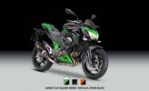  Kawasaki Z800 Performance Edition 2014 -  11