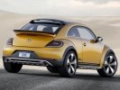 Volkswagen    Beetle Dune -  27