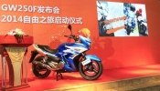   Suzuki GW250F 2015 -  1