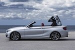 BMW  2   -  29