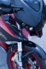  Ducati Monster Nemesis - Dragon TT -  20