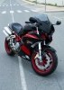  Ducati Monster Nemesis - Dragon TT -  9