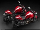  Ducati Stripe-: Monster 821 / Monster 1200 S (2015) -  1