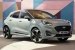 Ford Puma 2024 /  #0