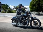  Harley-Davidson Sportster Iron XL 883N 3