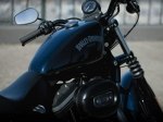  Harley-Davidson Sportster Iron XL 883N 9