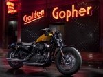  Harley-Davidson Sportster XL 1200X Forty-Eight 4