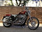  Harley-Davidson Sportster XL 1200V Seventy-Two 5