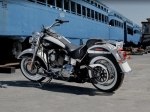  Harley-Davidson Softail Deluxe FLSTN 2