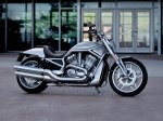  Harley-Davidson V-Rod 10th Anniversary Edition VRSCDX 3