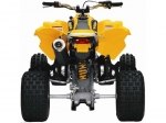  Can-Am DS 450 6