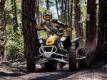  Can-Am DS 450 X xc 3