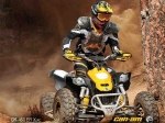  Can-Am DS 450 X xc 7