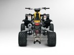  Can-Am DS 450 X mx 8