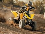  Can-Am DS 250 1