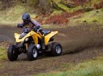 Can-Am DS 250 3