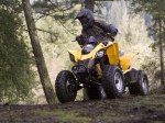  Can-Am DS 250 6
