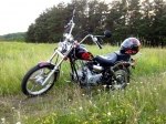 фото Viper Harley (ZS50-F) №4
