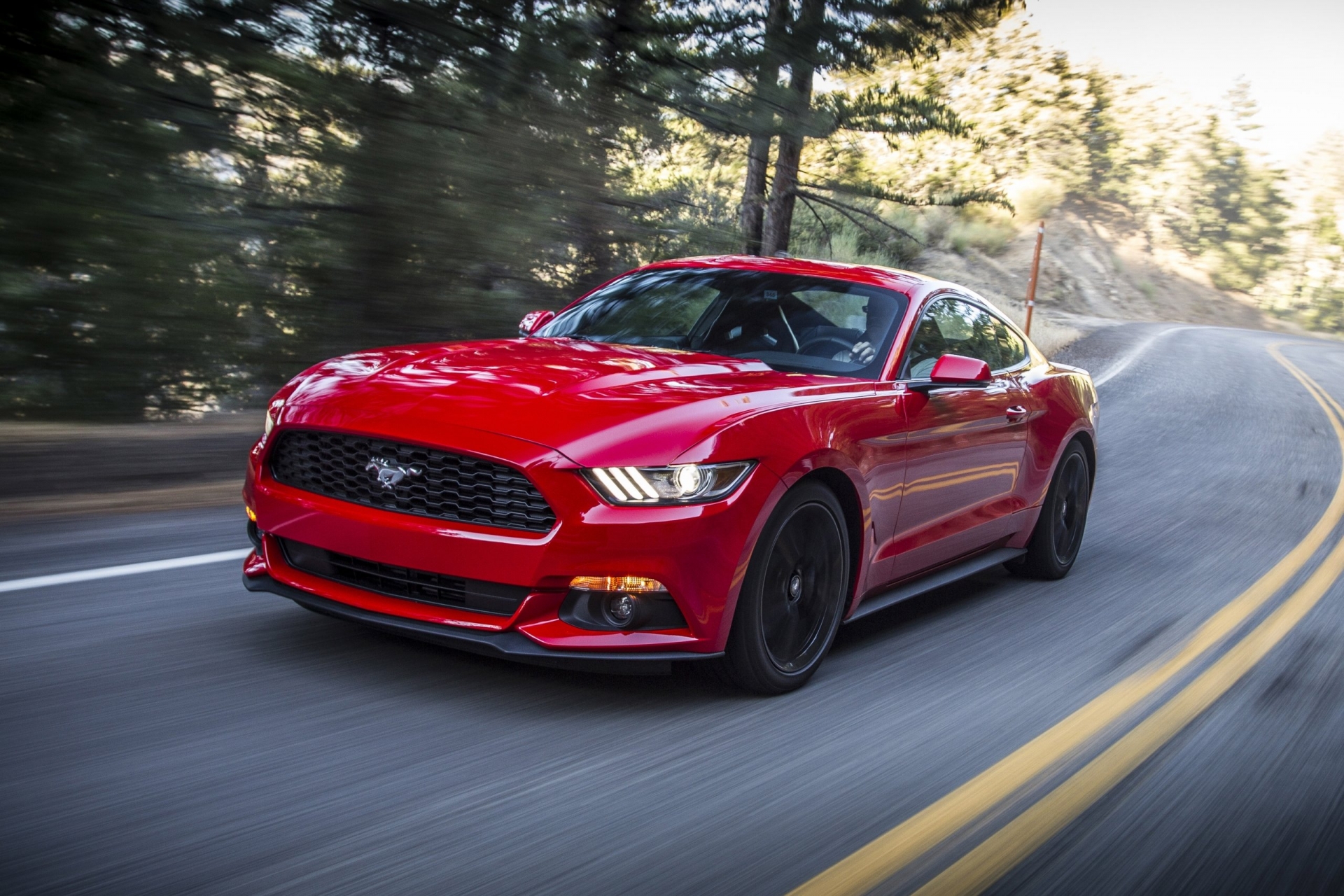 Ford Mustang Coupe 2015