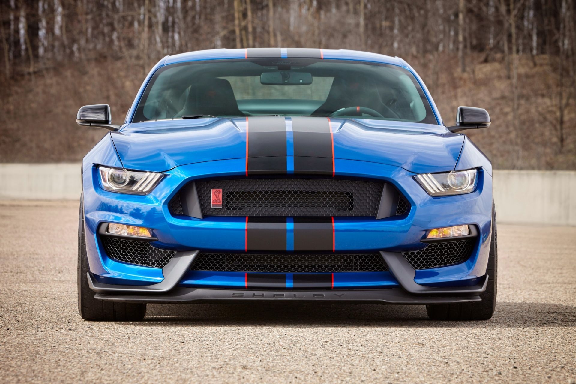 Ford Mustang Shelby gt350r