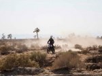  Ducati Scrambler Desert Sled 2
