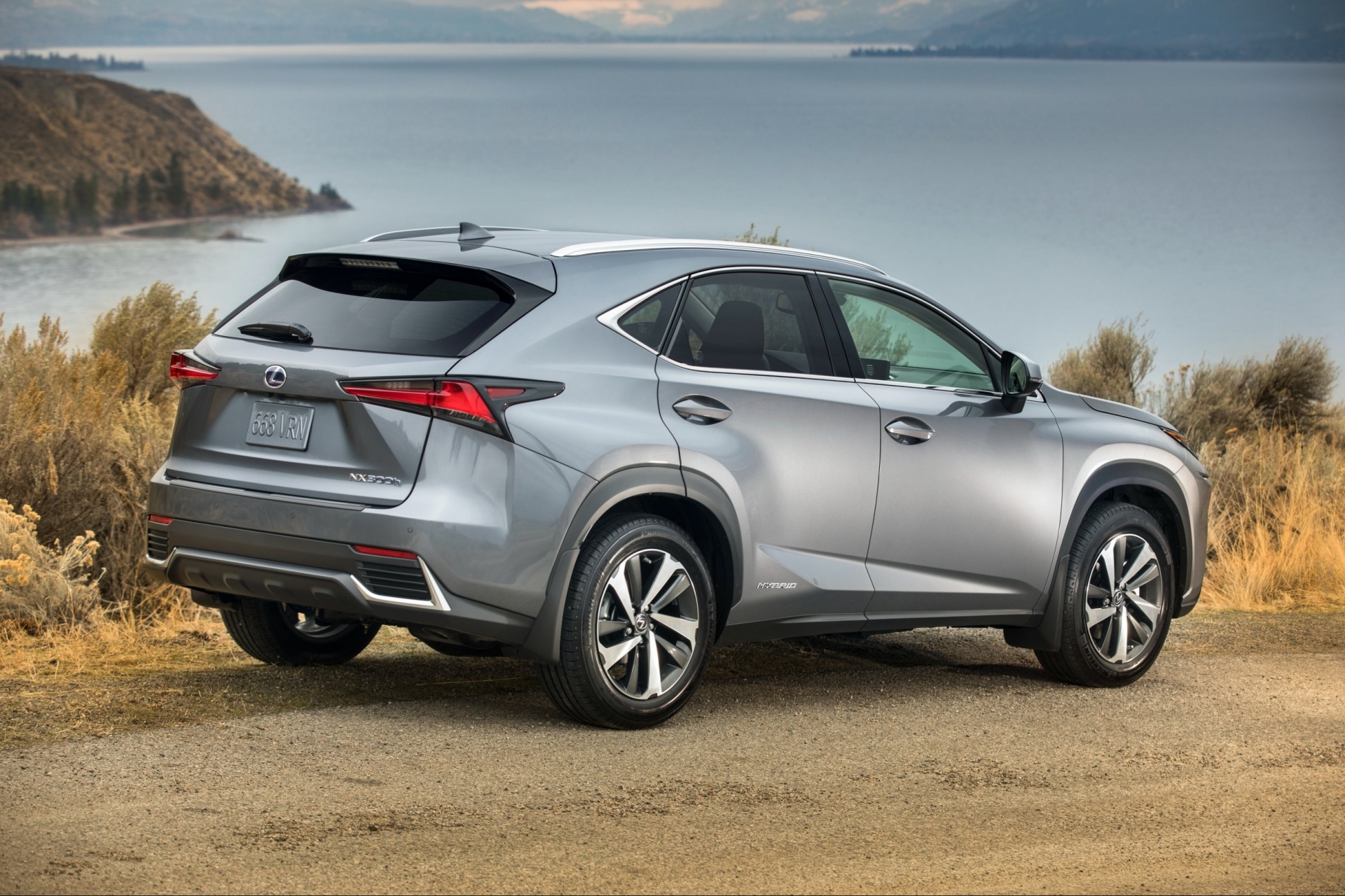 Lexus NX 300h 2019