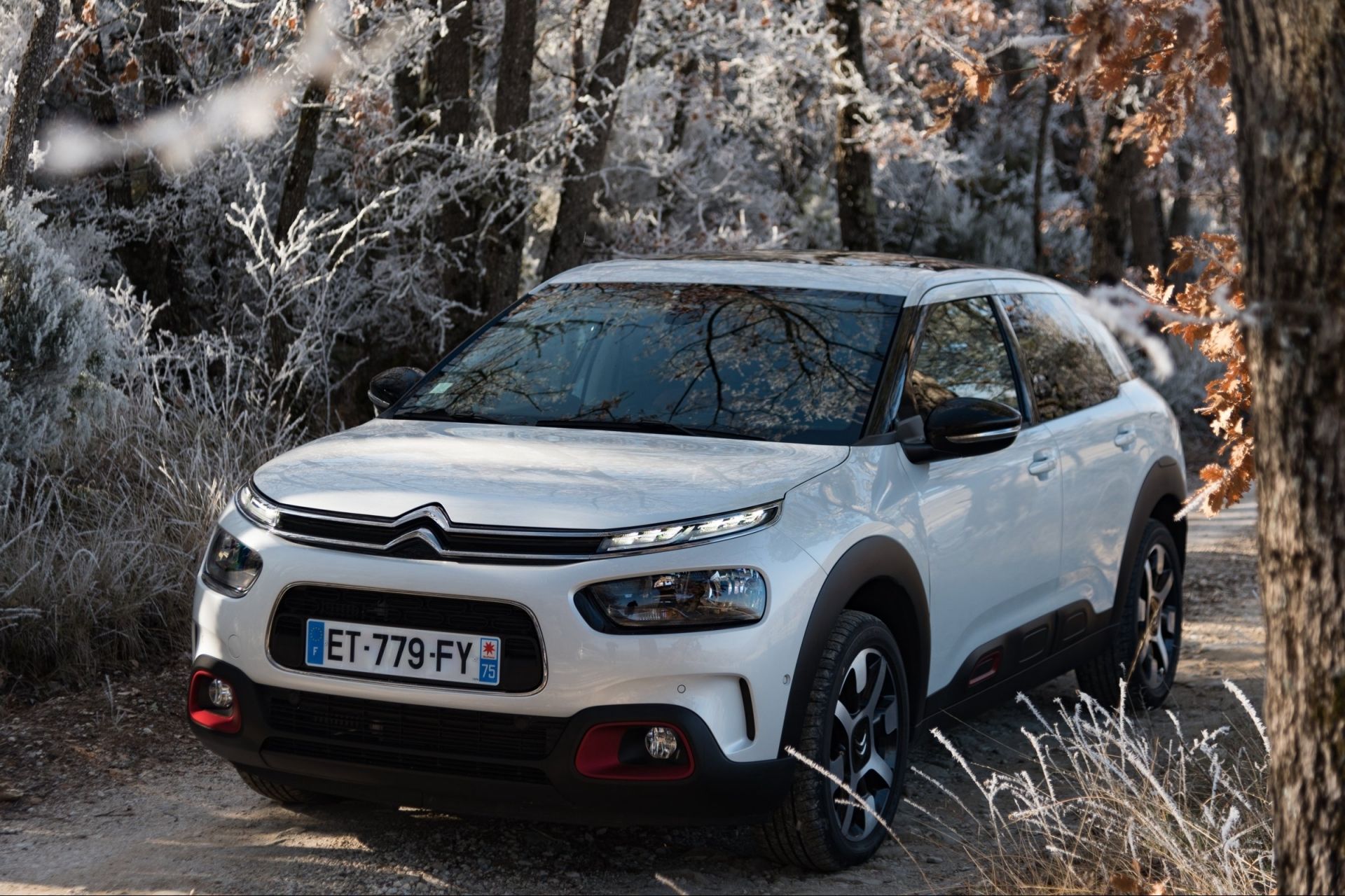 Citroen C4 Cactus - , ,  C4 Cactus  Citroen